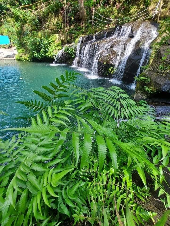 Home 158979991 4167285826627836 3179262410286919173 n